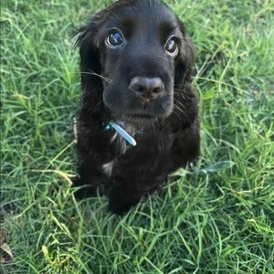 Meet your Posher, Rocio